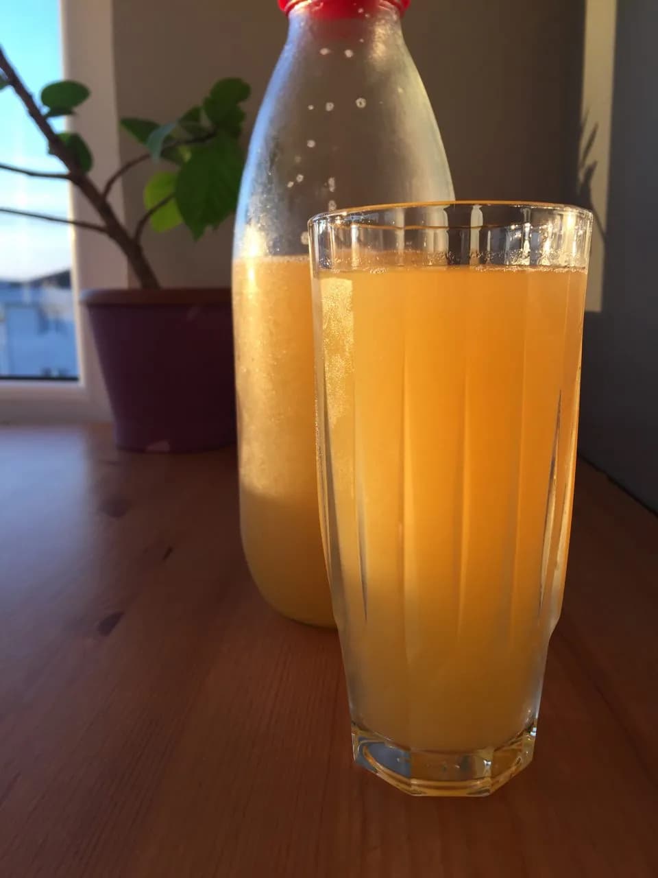 Nektarin Suyu