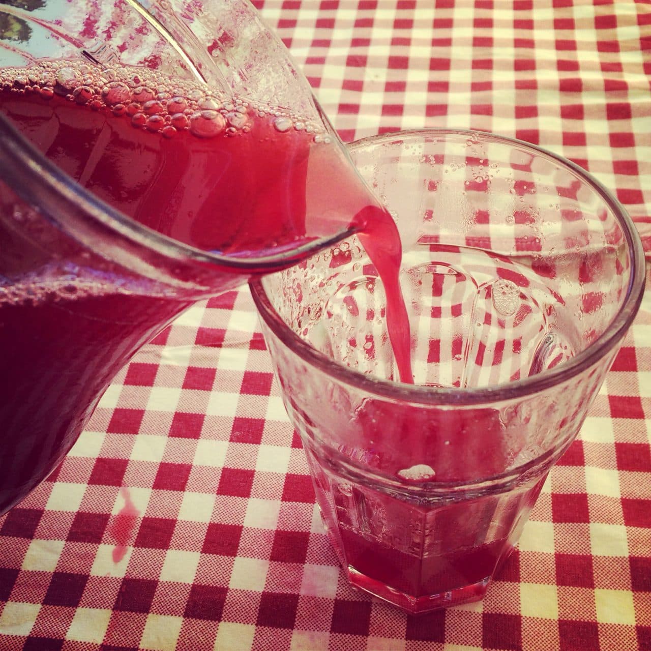 Kırmızı Erik Kompostosu görseli