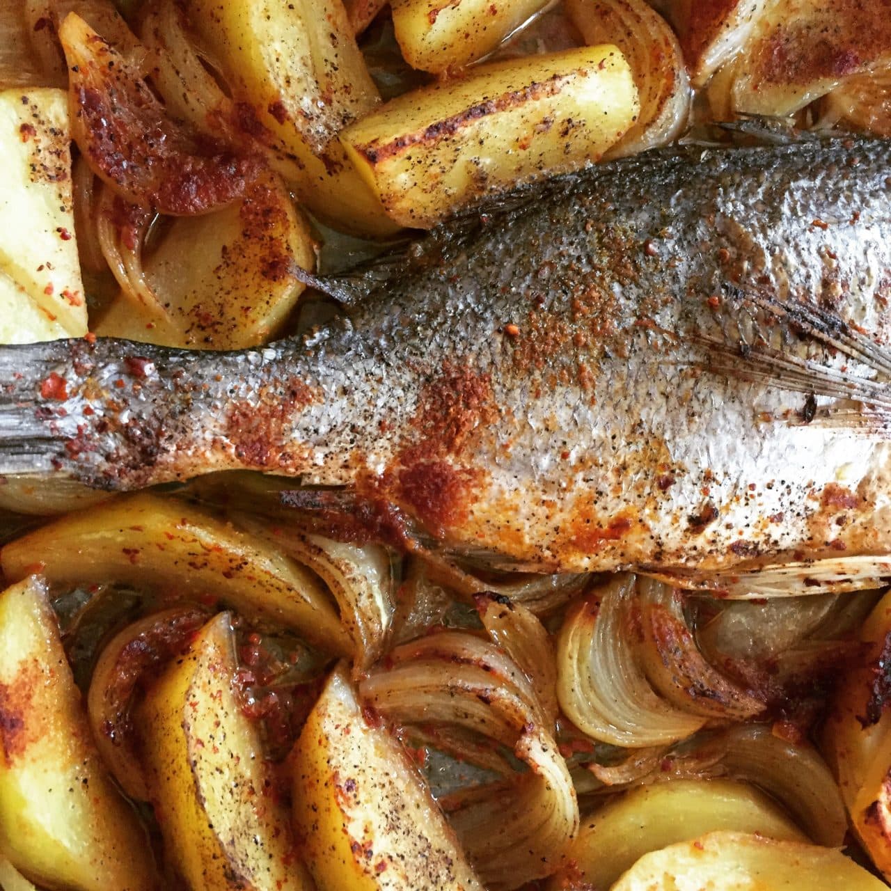 Fırında Balık görseli