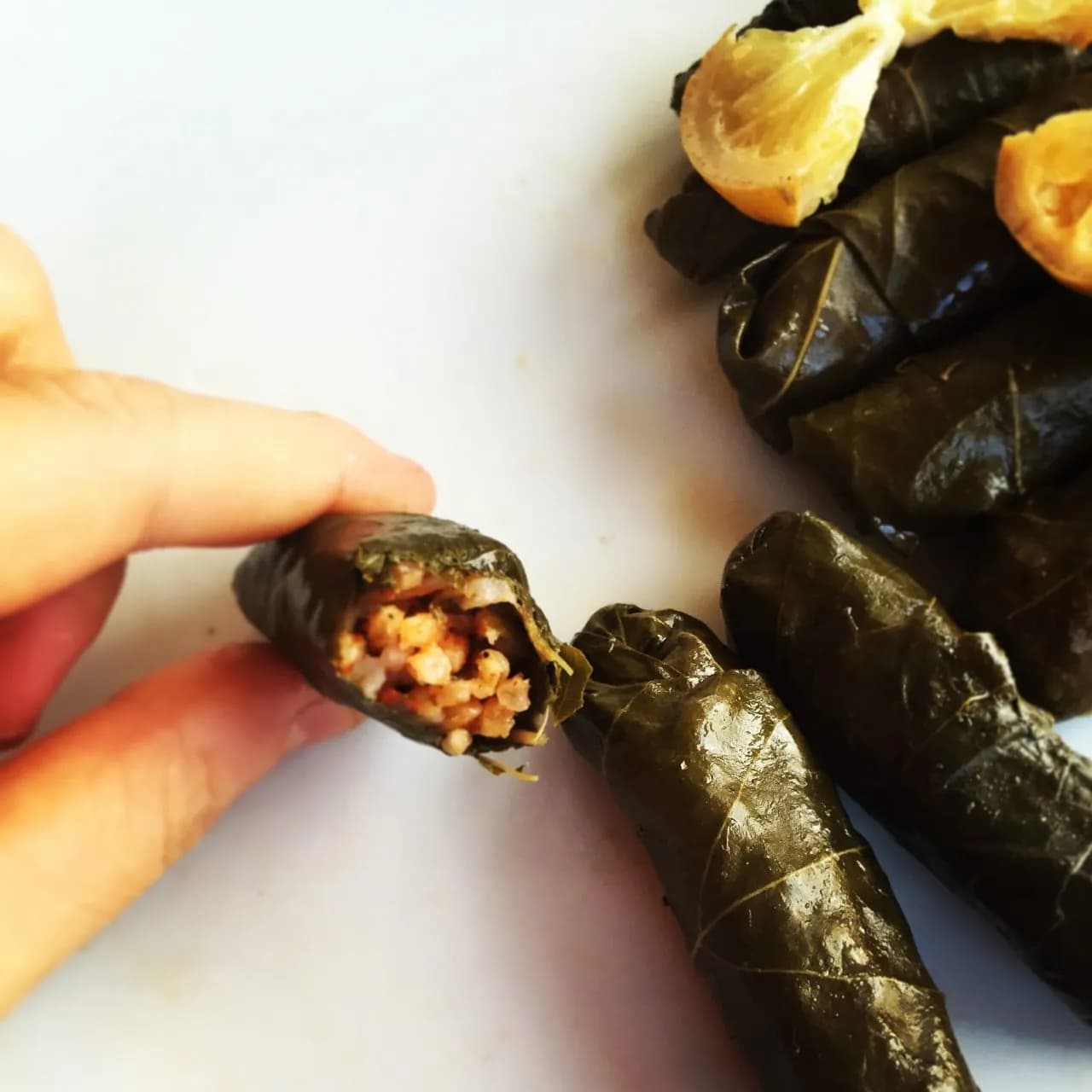 Zeytinyağlı Yaprak Sarma detay 1