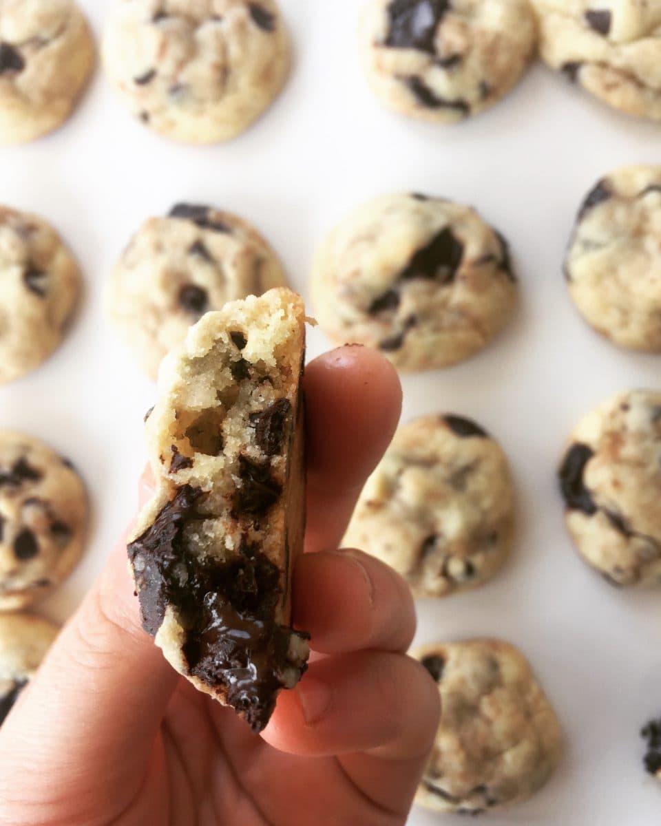 Çikolata Parçacıklı Kurabiye detay 1